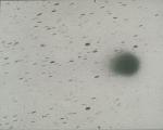 Negative Photograph Of Austin's Comet