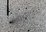 Comet, Jan.1989, R.West, 60in Danish Telescope